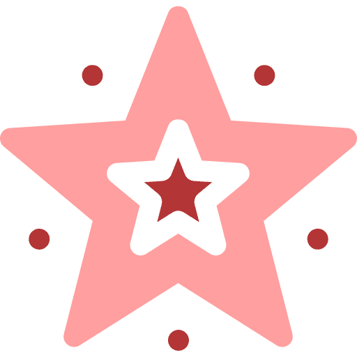 Star icon representing features of school ERP systems 
